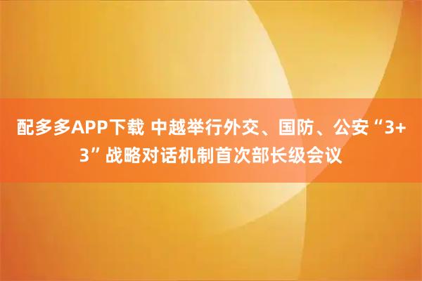 配多多APP下载 中越举行外交、国防、公安“3+3”战略对话机制首次部长级会议