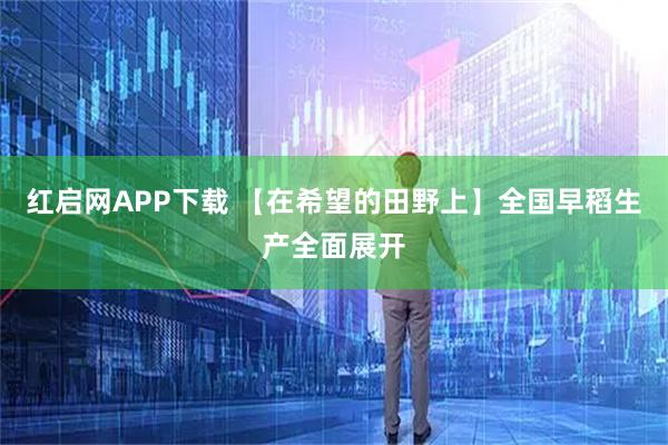 红启网APP下载 【在希望的田野上】全国早稻生产全面展开
