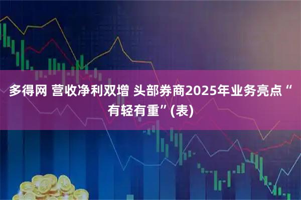 多得网 营收净利双增 头部券商2025年业务亮点“有轻有重”(表)