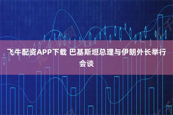 飞牛配资APP下载 巴基斯坦总理与伊朗外长举行会谈